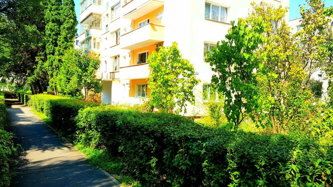 Luxury Paul Apartment Green, Private & Accessible Brașov Exterior foto